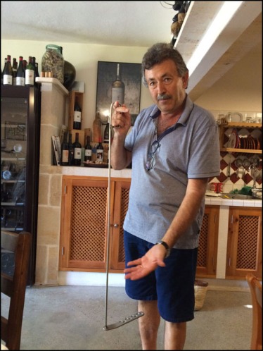 D.O Pla Wine Tasting i Mallorca Llevant –